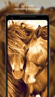 Best Horse Wallpaper HD capture d'écran 2