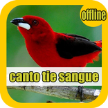 Canto Tie Sangue Offline