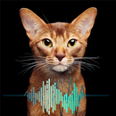 Meow Sound Effect APK