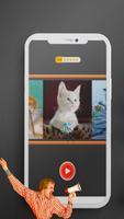 Meow Sound Effect screenshot 1