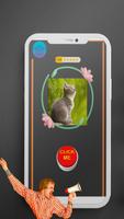 Meow Sound Effect screenshot 3