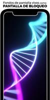 Walloop Prime Fondos en vivo captura de pantalla 1