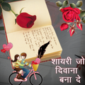 New Shayari : All Shayari Stat