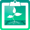 Soil Structure Assessment