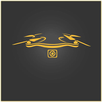 Fly Pro APK