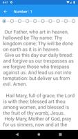 Holy Rosary Text Only Prayers In English 截图 3