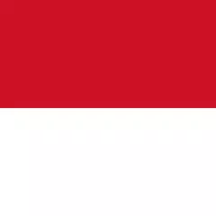 Indonesia VPN - for OpenVPN APK Herunterladen