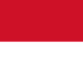 Indonesia VPN أيقونة