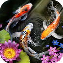 Lively Koi Launcher - HD Live Wallpapers, Themes APK