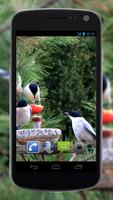 4K Garden Birds Video Live Wal imagem de tela 2