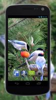 4K Garden Birds Video Live Wal imagem de tela 3