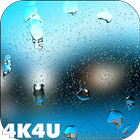 4K Rain Drops on Screen Live W icône