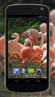 4K Flamingo Video Live Wallpap 스크린샷 1