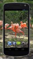 4K Flamingo Video Live Wallpap 스크린샷 2