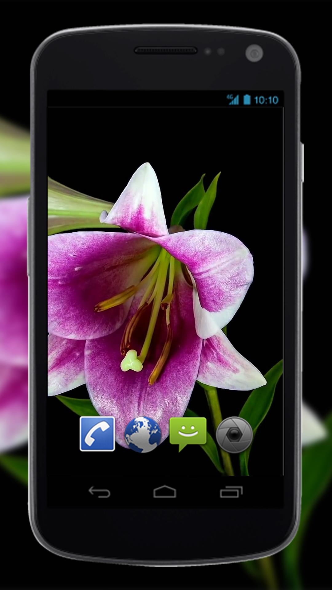 Фоновое видео на телефоне. Красивые андроиды телефоны. Живые обои на андроид цветы. Хуавей андроид 2.