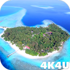 4K Maldives Paradise Drone Liv ikona