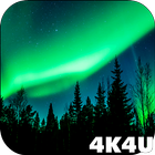 4K Northern Light Aurora Video icône