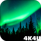 4K Northern Light Aurora Video 圖標