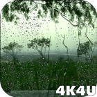 4K Rain Drops on Window Live Wallpaper simgesi