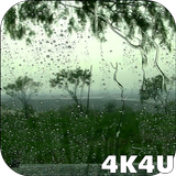 4K Rain Drops on Window Live Wallpaper icône