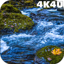 4K River Live Wallpaper APK