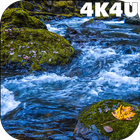 4K River Live Wallpaper-icoon