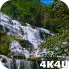 4K Waterfall Video Live Wallpa icon