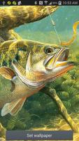 Bass Fishing Ripple Wallpaper Affiche