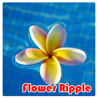 Flower Ripple Live Wallpaper 圖標