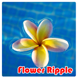 Flower Ripple Live Wallpaper biểu tượng