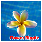 Flower Ripple Live Wallpaper icône