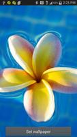 Flower Ripple Live Wallpaper постер