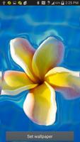 1 Schermata Flower Ripple Live Wallpaper