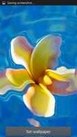 Flower Ripple Live Wallpaper скриншот 2