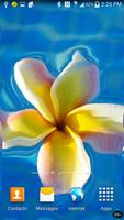 Flower Ripple Live Wallpaper скриншот 3