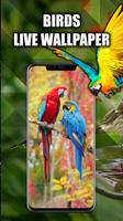 Tropical Birds Wallpaper Live پوسٹر