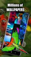 Tropical Birds Wallpaper Live اسکرین شاٹ 2