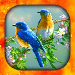 Birds Wallpaper Live 3D/HD/4K XAPK download