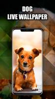 Dog Wallpaper پوسٹر