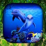 Dolphin Wallpaper Live HD/3D icon