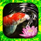 آیکون‌ Koi Fish Wallpaper