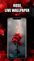 Czerwona Róża Tapety HD/3D/4K plakat
