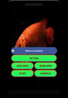 Arowana Live Wallpaper screenshot 1