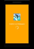 Dolphin Live Wallpaper الملصق