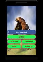 Eagle Live Wallpaper - Screen Lock, Sensor, Auto screenshot 1