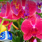 Orchid Live Wallpaper - Screen Lock, Sensor, Auto أيقونة