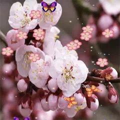 Sakura Live Wallpaper APK download