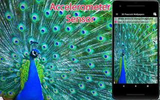 Peacock Live Wallpaper تصوير الشاشة 1