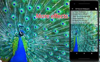 برنامه‌نما Peacock Live Wallpapers عکس از صفحه