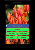 Tulip Live Wallpapers - Screen Lock, Sensor, Auto screenshot 1